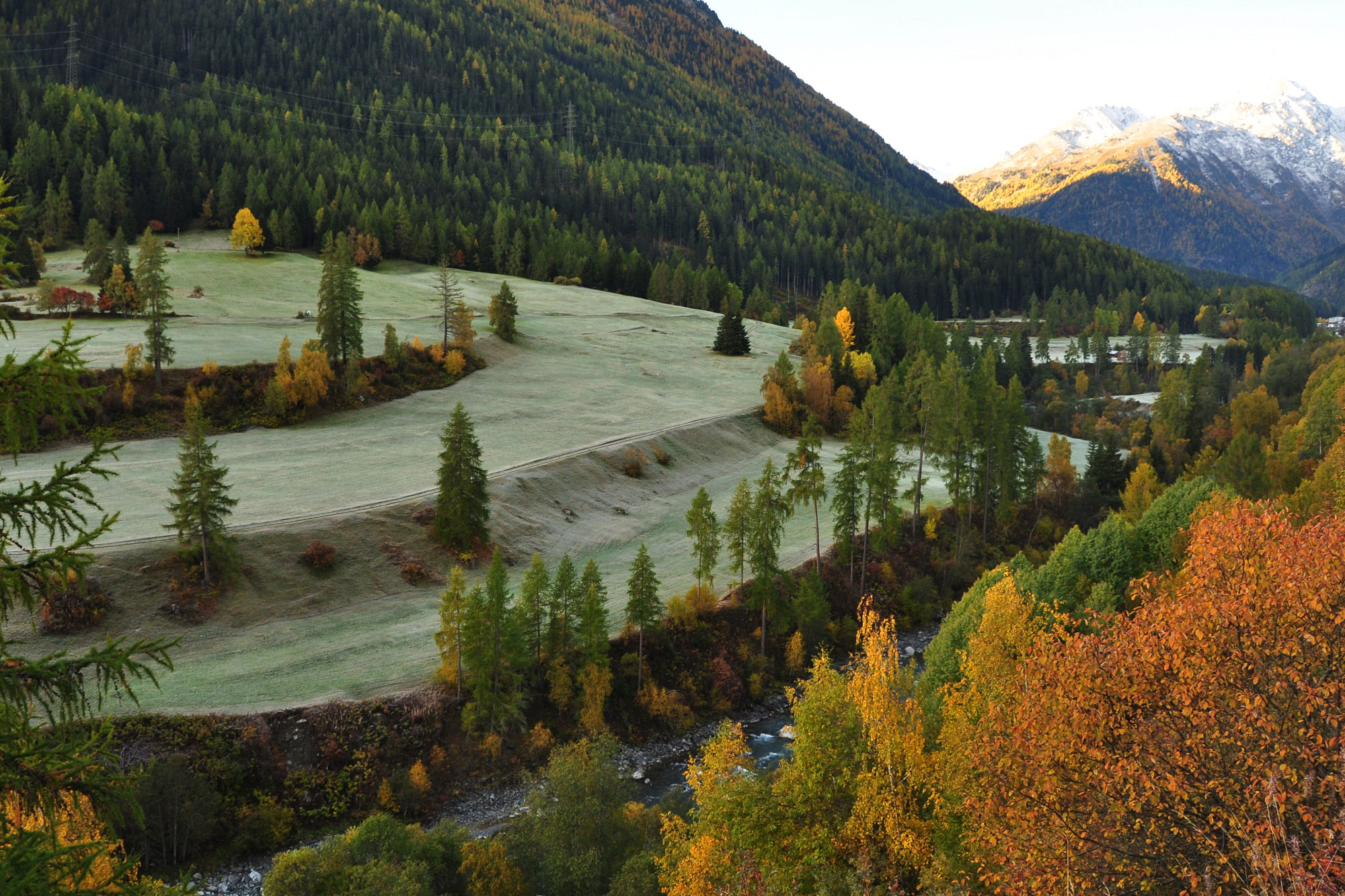 Scuol